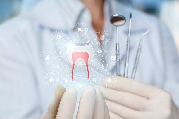 Reliable East Wenatchee, WA Holistic Dental Care Services Solutions